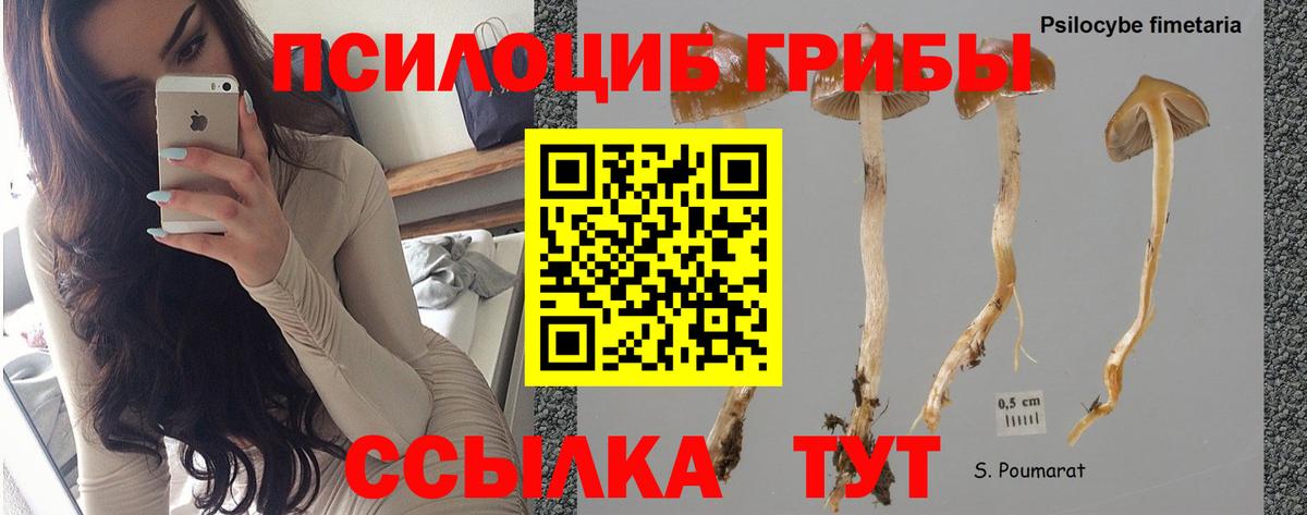 Галлюциногенные грибы мухоморы Гурьевск